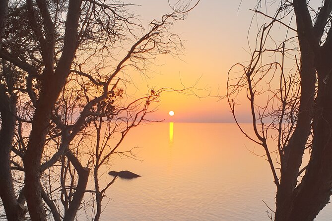 Naturalistic excursion to Ustica - Who will enjoy this Ustica outing