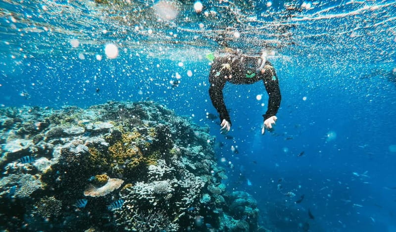 Naxos: Taormina Boat Tour with Snorkeling and Prosecco - White Lotus locations from the water
