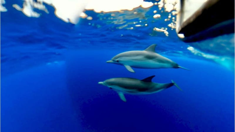 Naxos: Taormina Boat Tour with Snorkeling and Prosecco - Who will enjoy this two-hour cruise?