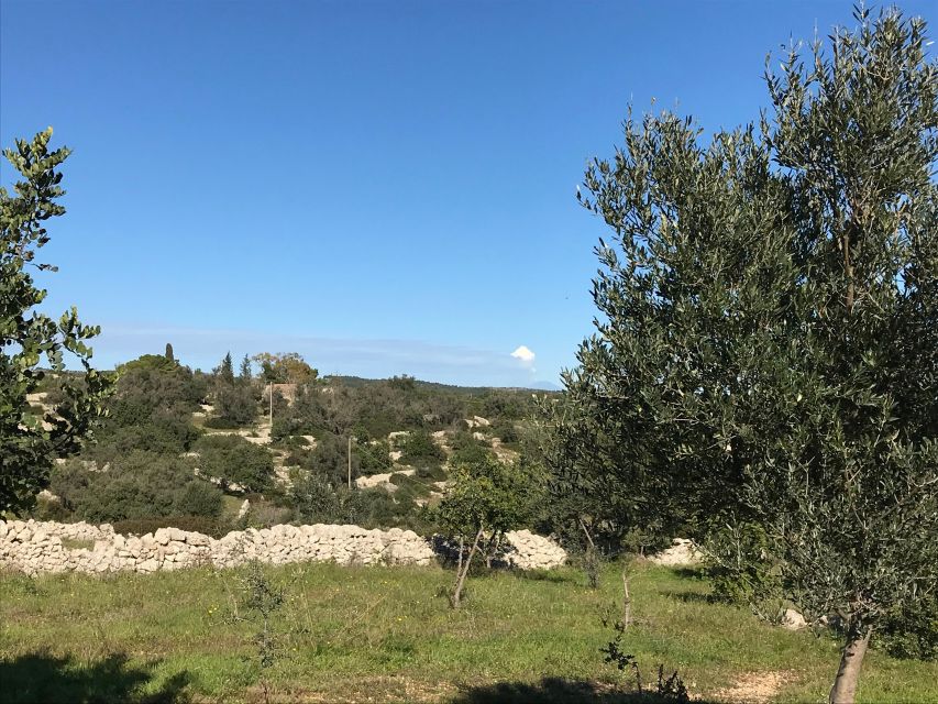 Noto: Farm to Fork in Sicily - Cooking Class in a Farm - Is $169.93 a fair price?