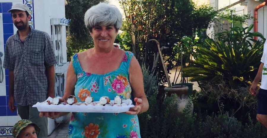 Noto: Highlights Experience tour Cooking from Farm to Fork - Starting in the Noto countryside garden