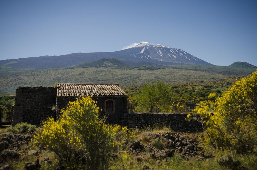 Old Sicily and Etna wine tasting tour from Taormina - Key points before you book