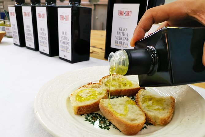 Olive harvest, visit to the oil mill and typical lunch - Who will enjoy this experience most