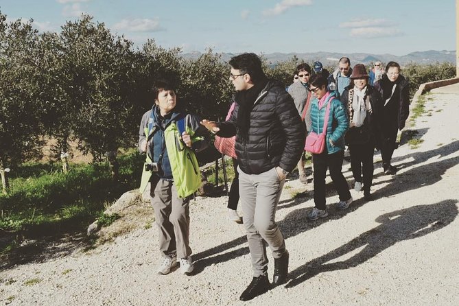 Olive Oil Experience - Why This Farm Visit Is Different From a Standard Food Tasting