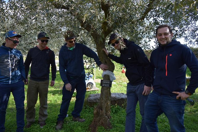 Olive Oil Experience - Who Will Get the Most From the Visit