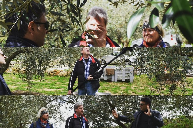 Olive Oil Experience - Inside the 1968 Country House