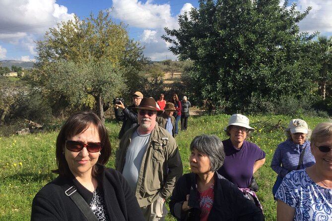 Olive Oil Tasting & Historic Olive Mill Tour in Ragusa area - Nine flavored oils, from mandarin to porcini