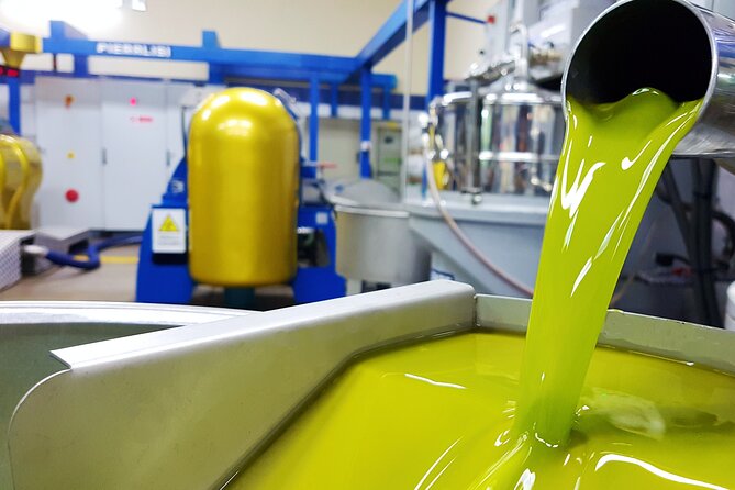 Olive Oil Tasting & Historic Olive Mill Tour in Ragusa area - Tasting Erbesso DOP Monti Iblei with an oil sommelier