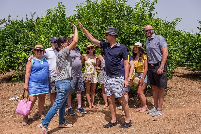 Olive oil tasting in Syracuse, Sicily - Evoo Tour - Tasting four or five award-winning EVO oils