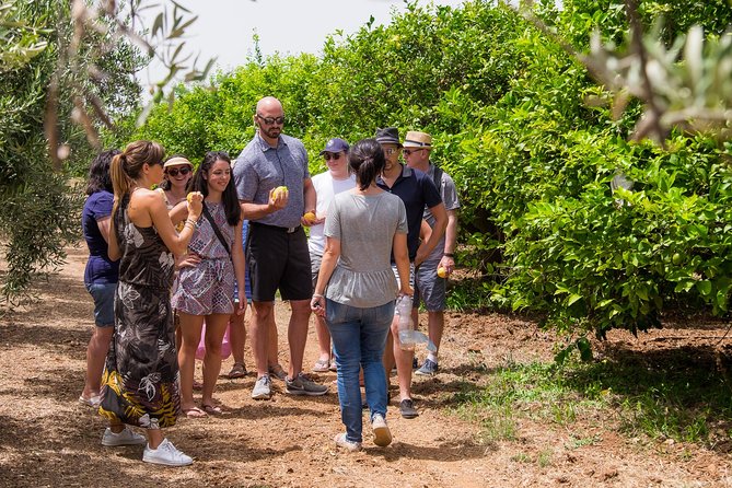 Olive oil tasting in Syracuse, Sicily - Evoo Tour - Why the food pairings make the tasting worthwhile