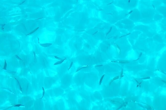 One and a half hour boat excursion to Scala Dei Turchi - The crew and the human touch