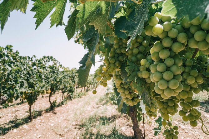Origins - Why Siracusa Moscato matters here