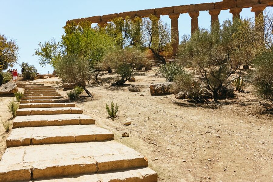 Palermo: Agrigento and the Valley of the Temples Day Tour - Who should book this trip
