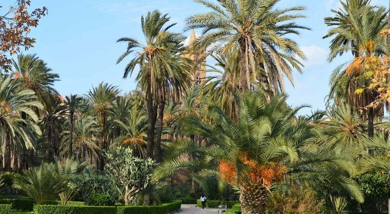 Palermo: Art and Architecture Walking Tour - Key points at a glance