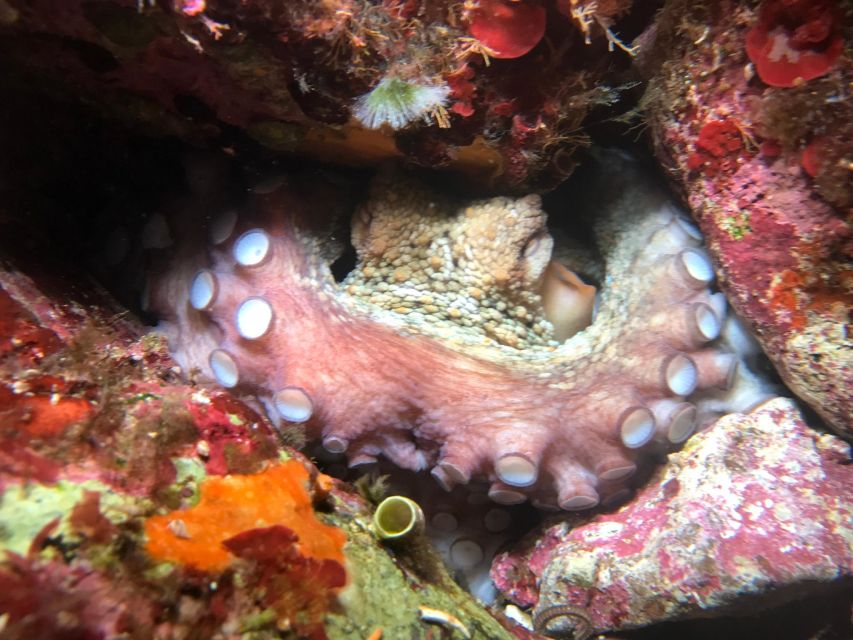 Palermo: Full-Day Snorkeling Boat Tour with Lunch and Wine - Mondello: lunch, swimming, and turquoise water