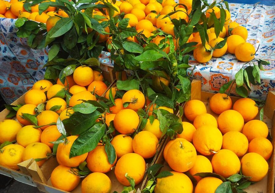 Palermo: Street Food Walking Tour with Local Guide & Tasting - Meeting at Teatro Massimo