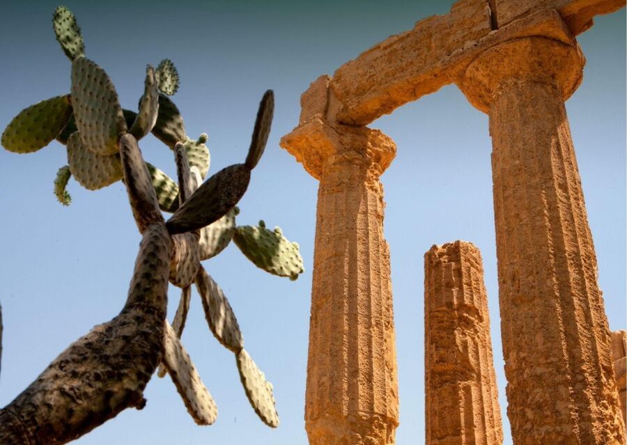Palermo to Siracusa: stop al Valley of Temples & Roman Villa - The road to Siracusa