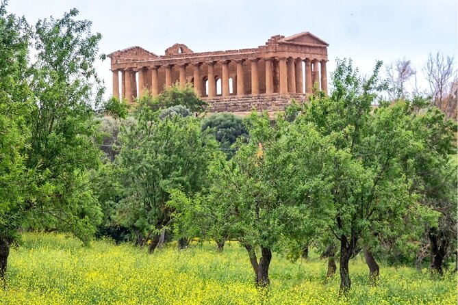 Palermo to Siracusa: stop at Valley of Temples & Roman Villa - Price, value, and what is really included