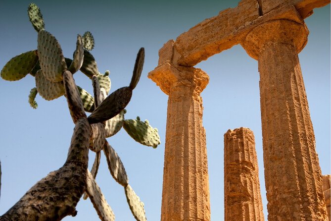 Palermo to Siracusa: stop at Valley of Temples & Roman Villa - Who should book this route
