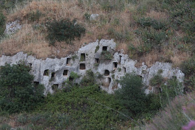 Pantalica nature history and archeology - Plants, orchids, and the medicine of the Iblean plateau