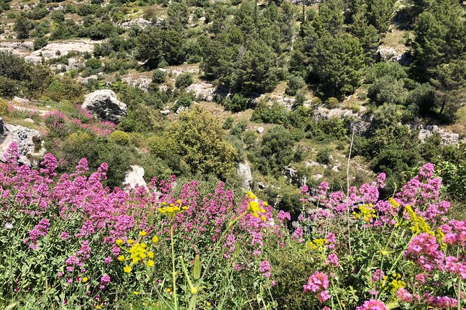 Pantalica Nature Reserve Walking Tour - Walking through Europe’s biggest necropolis