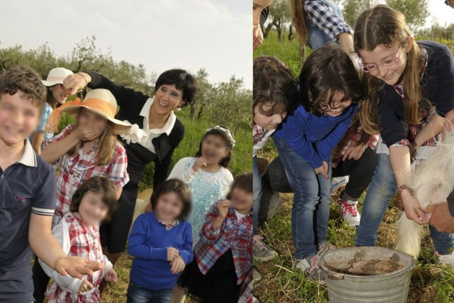 Partinico: Farm's Animals and Aromatic Garden Experience - Starting among the olive trees, vines, and citrus