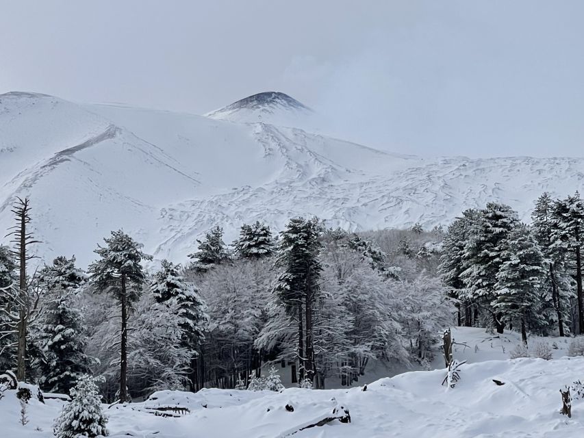 Piano Provenzana: Guided Mt. Etna Snowshoeing Trek - What the $44 price really covers