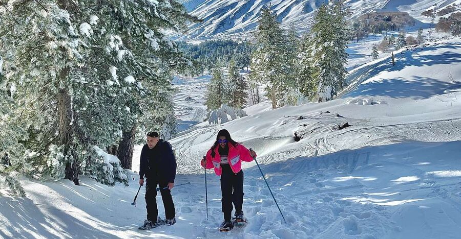Piano Provenzana: Guided Mt. Etna Snowshoeing Trek - Why Etna Nord is special in winter