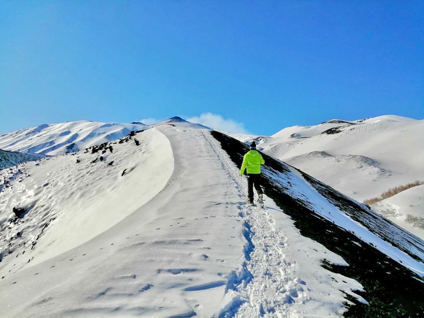Piano Provenzana: Guided Mt. Etna Snowshoeing Trek - Through the snowy woods at 1,800 meters