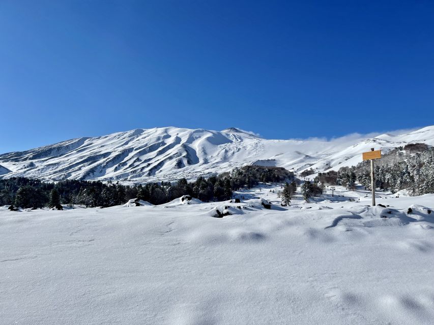 Piano Provenzana: Guided Mt. Etna Snowshoeing Trek - The 30-minute visit and free time near the upper craters