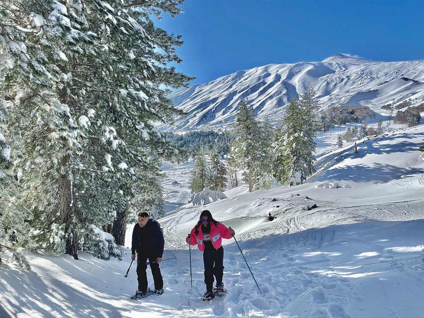 Piano Provenzana: Guided Mt. Etna Snowshoeing Trek - The first 15 minutes at Piano Provenzana