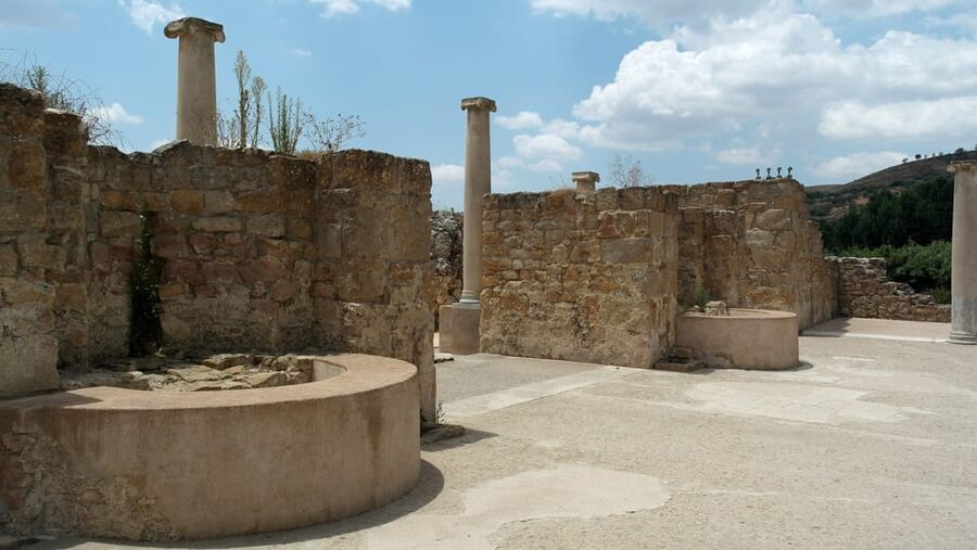 Piazza Armerina: Private Villa Romana del Casale Guided Tour - Is $283.21 a fair price?