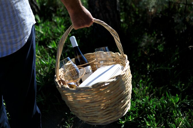 Pic-nic in the vineyard - Choosing your bottle: Marsili, Bianco Porticello, Rosa Caolino, or Ypsilon
