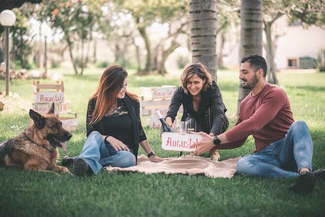 Picnic on the lawn -aromatic garden and winery - Walking through vineyards and ancient olive trees