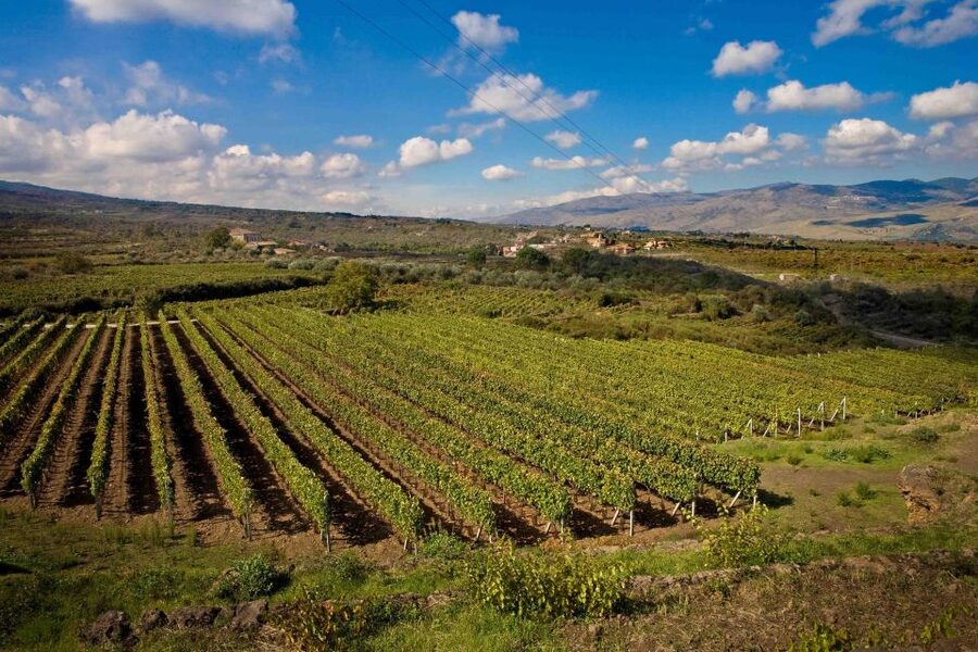 Piedimonte Etneo: Etna Wine Train Tour & Sicily Wine tasting - Key points to know before booking