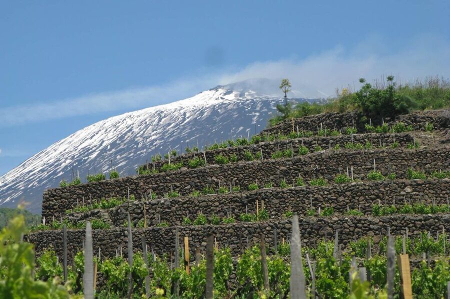 Piedimonte Etneo: Etna Wine Train Tour & Sicily Wine tasting - Randazzo and the traditional village visit