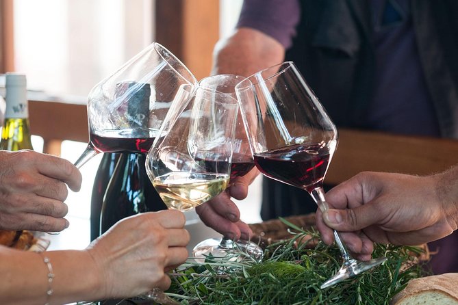 Private 6-Hour Tour of Three Etna Wineries with food&wine tasting - The final winery brings the day back to wine