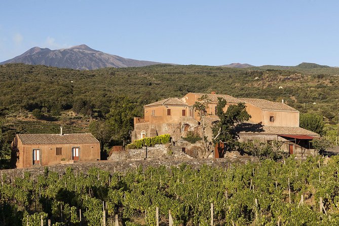 Private 6-Hour Tour of Three Etna Wineries with food&wine tasting - Guides can turn a transfer into part of the tour
