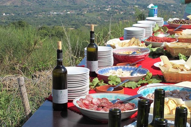 Private 6-Hour Tour of Three Etna Wineries with food&wine tasting - What ten wines and a full day of food really mean