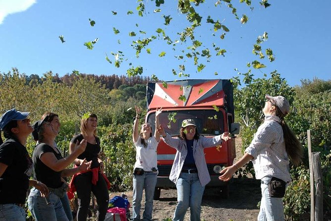 Private 6-Hour Tour of Three Etna Wineries with food&wine tasting - Who will get the most from this tour