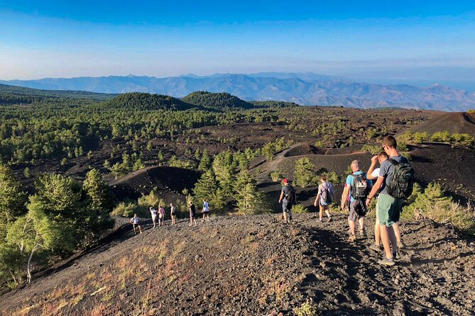 Private and Guided Tour on Etna with Wine Tasting included - Is the $277.45 price good value?