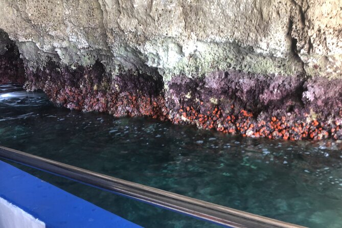Private boat tour with prosecco and fresh fruit - Swimming, prosecco, and a relaxed pace