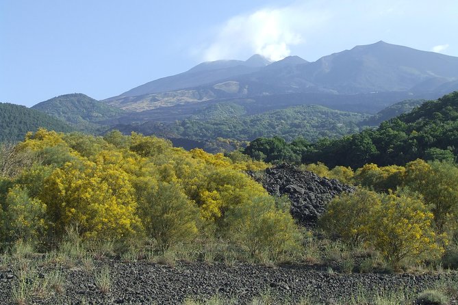 Private Etna tour from Messina Cruise Terminal+ Lunch at Winery - Why the private format matters