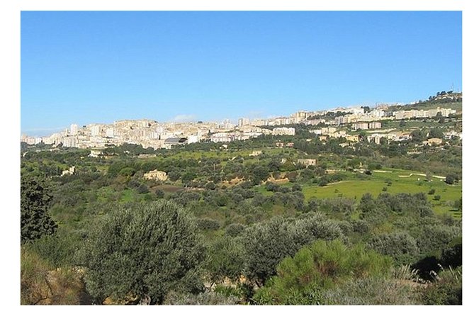 Private Full-Day Tour of Agrigento and Piazza Armerina - Why this day trip works from Catania