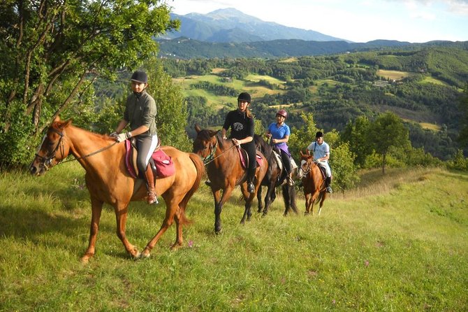 Private Horseback Riding Tour on Etna Area + Traditional Lunch - Key points at a glance