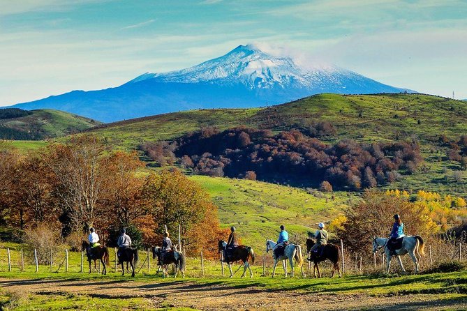 Private Horseback Riding Tour on Etna Area + Traditional Lunch - What the $349.63 price means