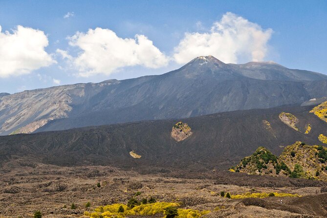 Private Mt. Etna 4WD Half Day Adventure - Starting at Viagrande and riding toward Etna