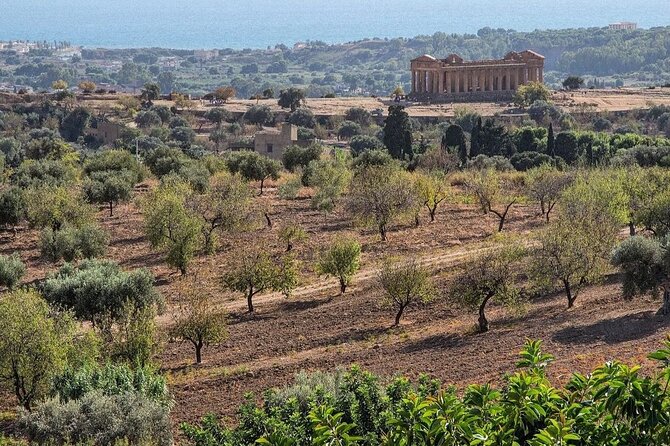 Private Tour Agrigento Valley of the Temples Park and Scala Dei Turchi - How to prepare for an eight-hour Sicilian outing