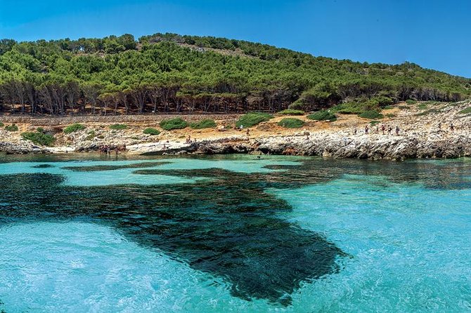 Private Tour Half Day Boat Trip in Favignana from Trapani - Bue Marino and Favignana’s quarry coast