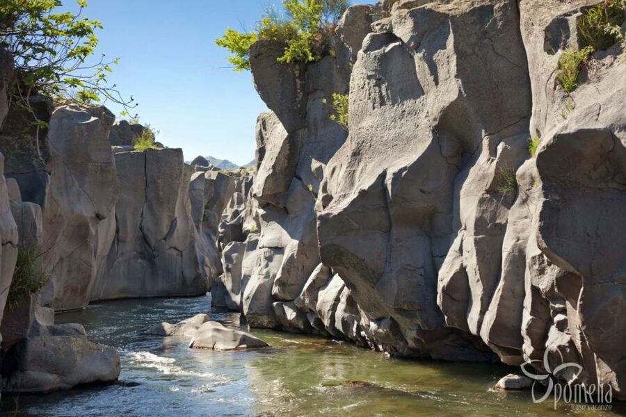 Private Tour of Alcantara Gorges. Including Food and Wine - Walking Into the Gorge and Down the 220 Steps